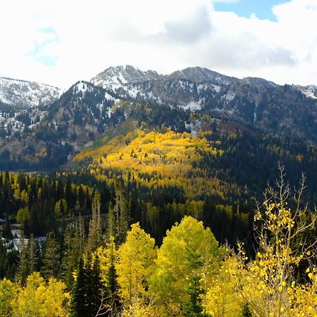 Cottonwood Heights - Lower Level Of Mountain Home! Εξωτερικό φωτογραφία