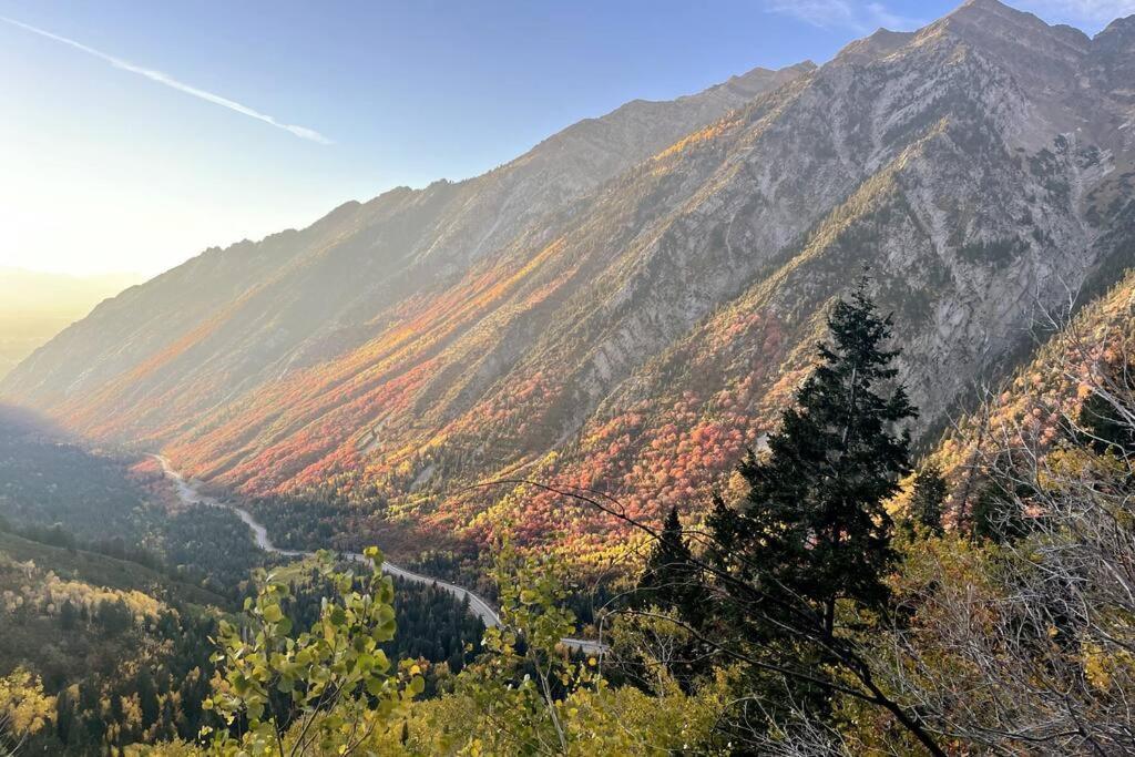 Cottonwood Heights - Lower Level Of Mountain Home! Εξωτερικό φωτογραφία