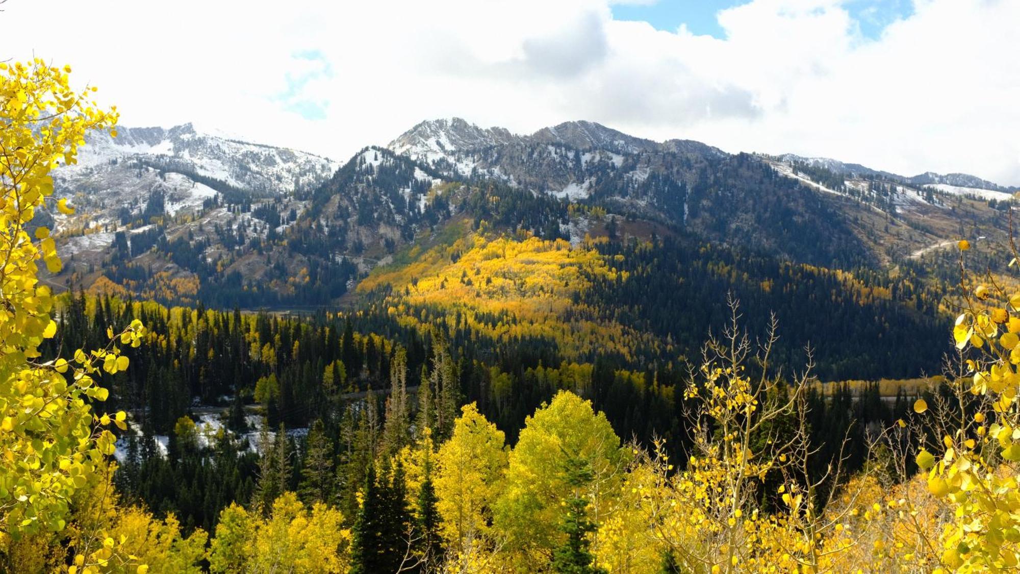 Cottonwood Heights - Lower Level Of Mountain Home! Εξωτερικό φωτογραφία